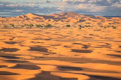Moroccan Desert Camp